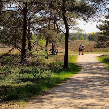 Luxe Woodlodge In Een Prachtige En Bosrijke Omgeving Bornerbroek Esterno foto