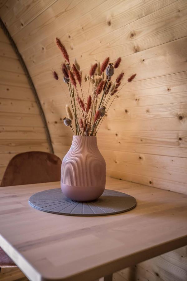 Luxe Woodlodge In Een Prachtige En Bosrijke Omgeving Bornerbroek Esterno foto